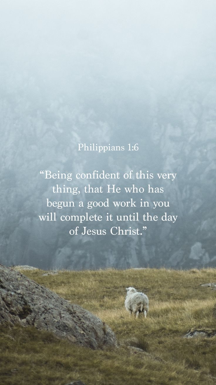 He Will Finish What He Started (Philippians 1:6) | BibleSocks Weekly Walk blog