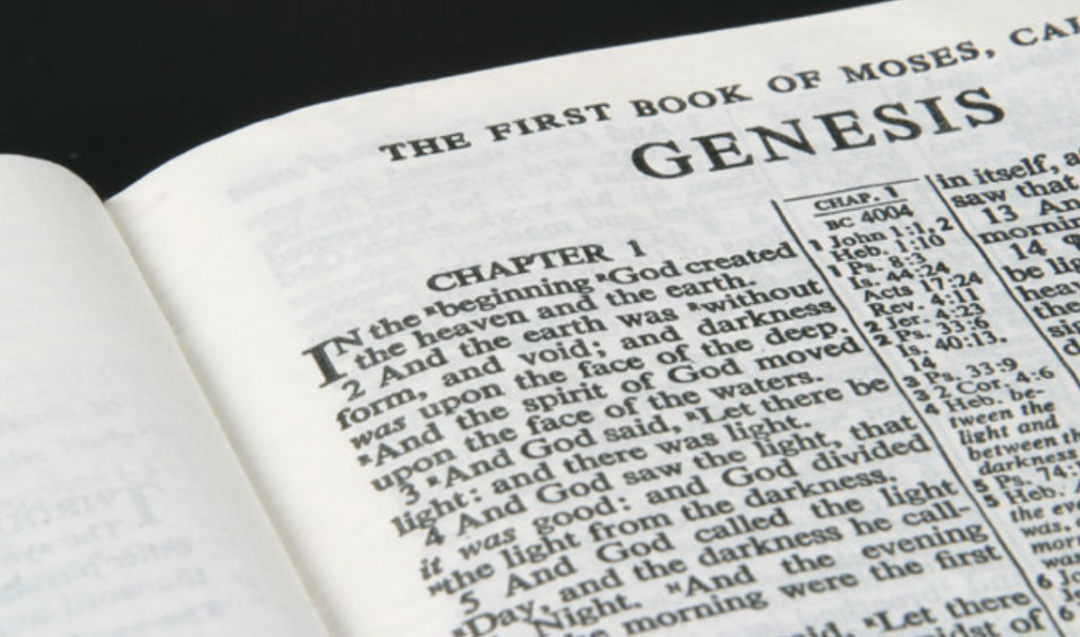 Life Lessons from Genesis (and Kindergarten)