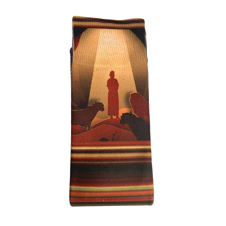 Daniel and the lions' den Bible themed scripture socks by BibleSocks